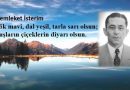 Haftanın Şiiri: Memleket İsterim